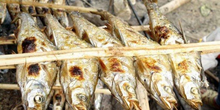 Cá nướng hồ Ba Bể