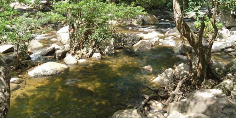 Tánh Linh Bình Thuận, vùng đất xanh giữa đại ngàn phía tây nam