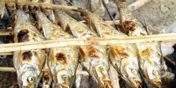 Cá nướng hồ Ba Bể