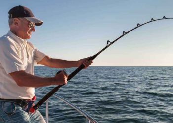 Cách để xác định kích thước cần câu cá phù hợp với ao cá của bạn.