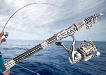 Cách lựa chọn vị trí thích hợp để bảo quản cần câu cá hiệu quả