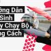 Cách làm sạch giày chạy bộ đúng cách