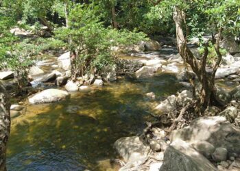 Tánh Linh Bình Thuận, vùng đất xanh giữa đại ngàn phía tây nam